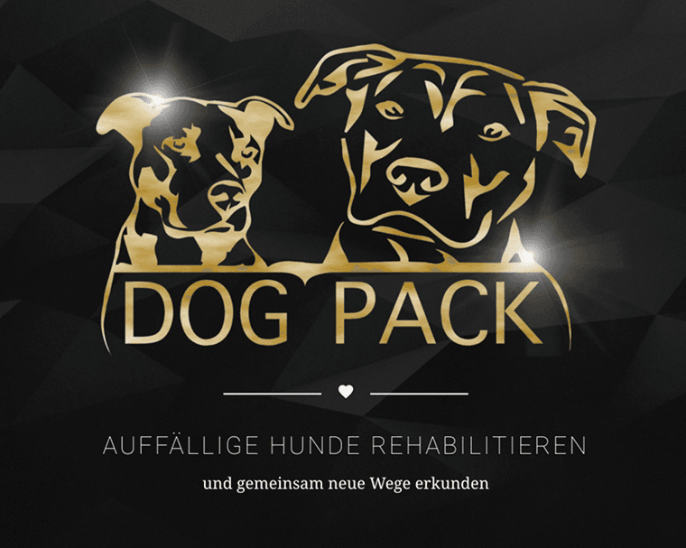 Dogpack — Branding & Webdesign, SaaS